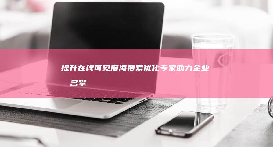 提升在线可见度：海搜索优化专家助力企业排名攀升